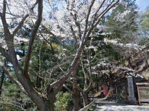 【2026年6月まで】第七十番　観音正寺　イベント案内イメージ
